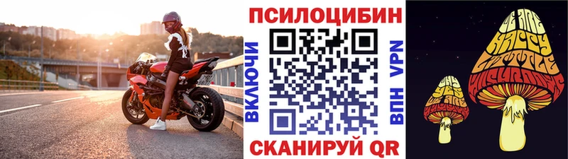 Купить где  Каргополь  Галлюциногенные грибы Psilocybine cubensis 